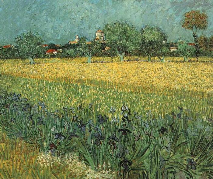 View of Arles with Irises in the Foreground, Vincent Van Gogh